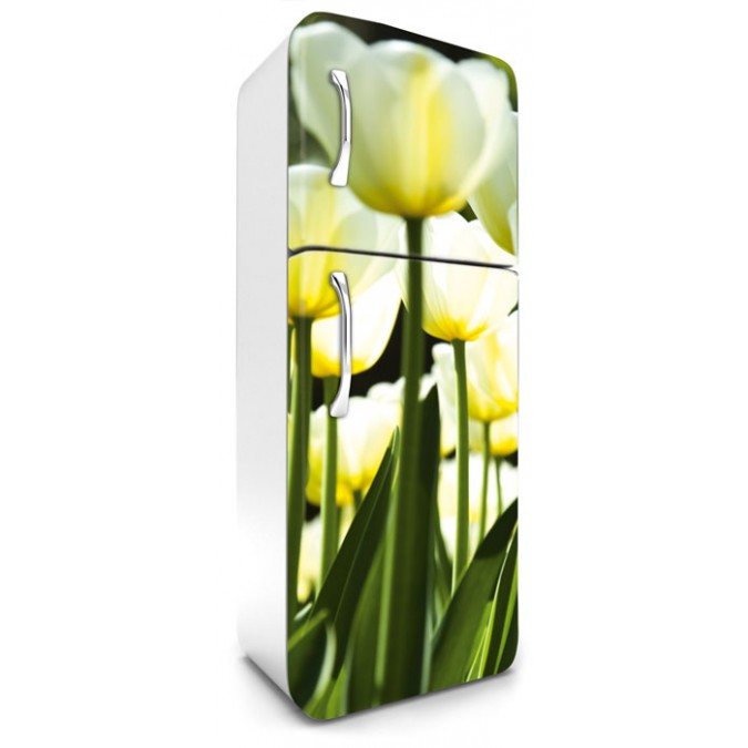 FR-180-026 Fototapeta na lednici - White Tulips, velikost 65 x 180 cm