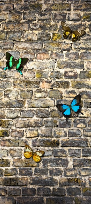 FTN V 2905 Vliesová fototapeta dveřní Butterfly on the wall, velikost 90 x 202 cm