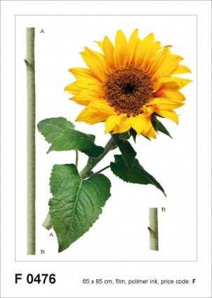 F 0476 AG Design Samolepicí dekorace - samolepka na zeď - Sunflower, velikost 65 cm x 85 cm