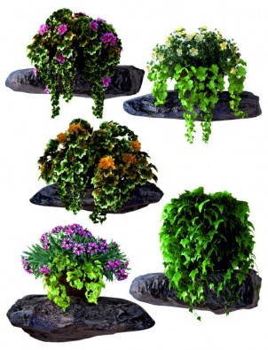 F 1070 AG Design Samolepicí dekorace - samolepka na zeď - Flowers on the stones, velikost 65 cm x 85 cm