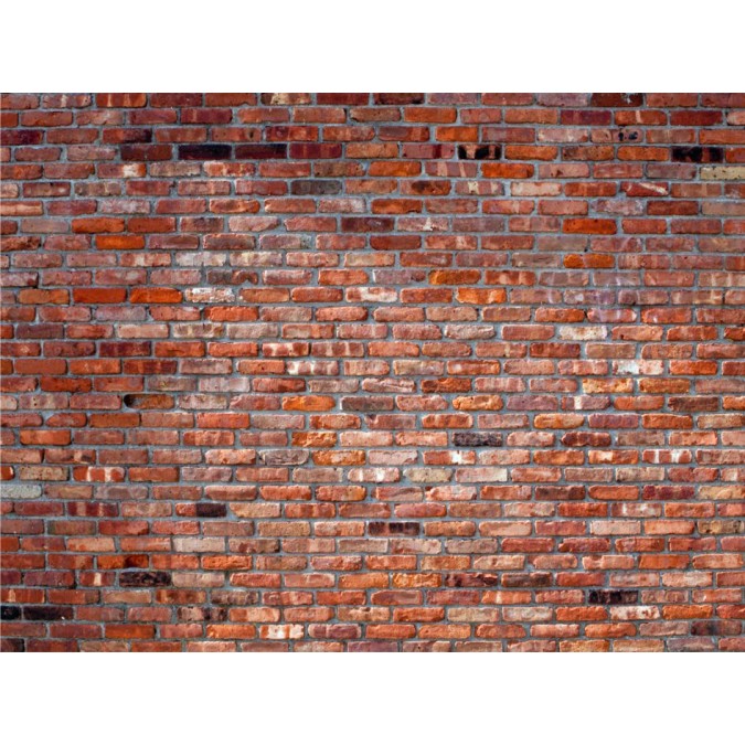 Obrazová fototapeta na zeď čtyřdílná FT 1449 kamenná zeď