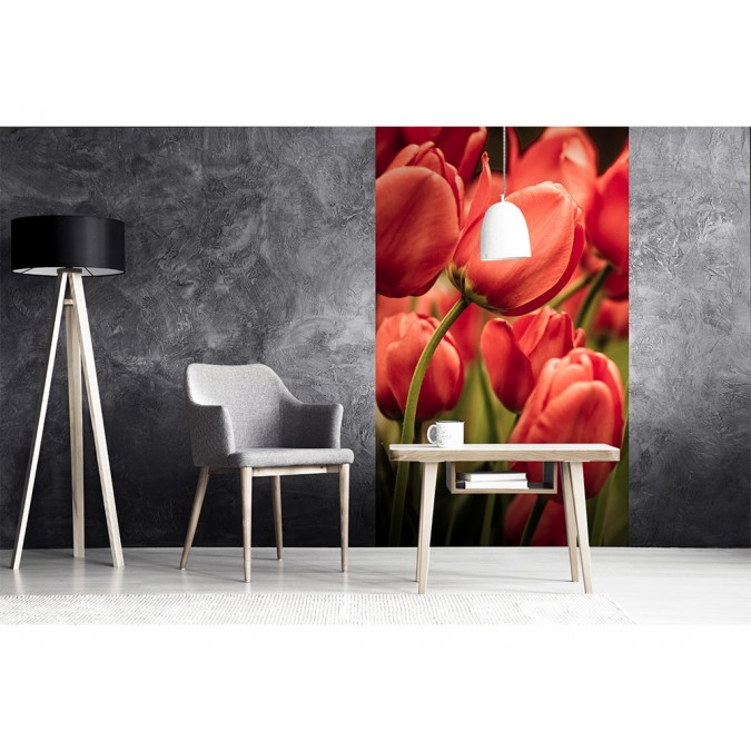 MS-2-0128 Vliesová obrazová fototapeta Red Tulips, velikost 150 x 250 cm