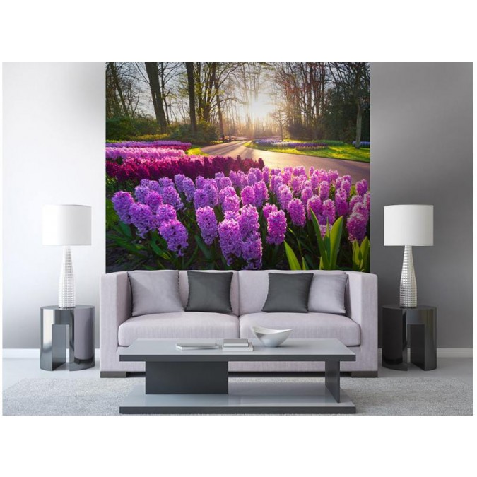 MS-3-0068 Vliesová obrazová fototapeta Hyacinth Flowers, velikost 225 x 250 cm