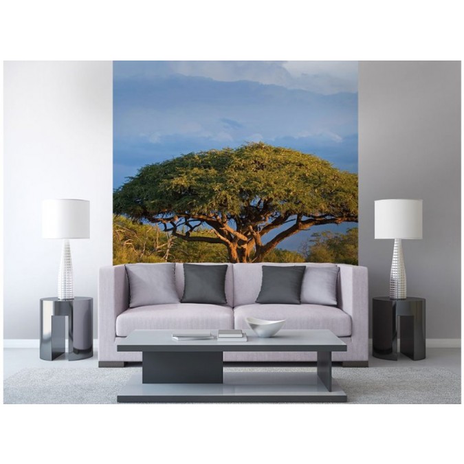 MS-3-0097 Vliesová obrazová fototapeta Acacia Tree, velikost 225 x 250 cm