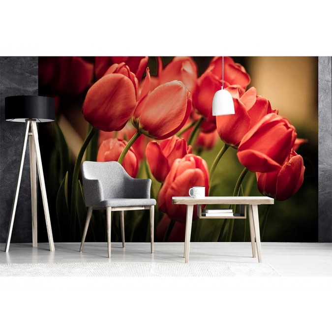MS-5-0128 Vliesová obrazová fototapeta Red Tulips, velikost 375 x 250 cm