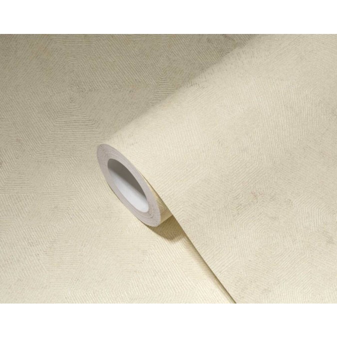 P492450070 A.S. Création historizující vliesová tapeta na zeď Styleguide Natürlich 2024 retro grafický motiv, velikost 10,05 m x 53 cm