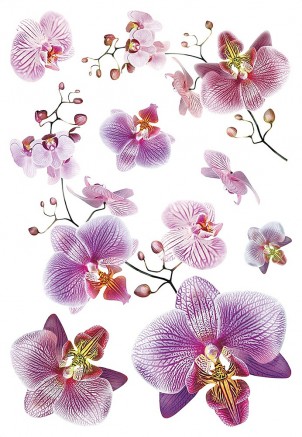 SM 3440 AG Design Samolepicí dekorace - samolepka na zeď - Orchidej, velikost 42,5 cm x 65 cm