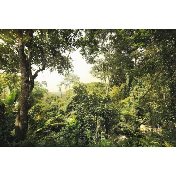 KOMR 420-4 XXL Vliesová fototapeta na zeď Komar džungle deštný prales, velikost 368x248 cm