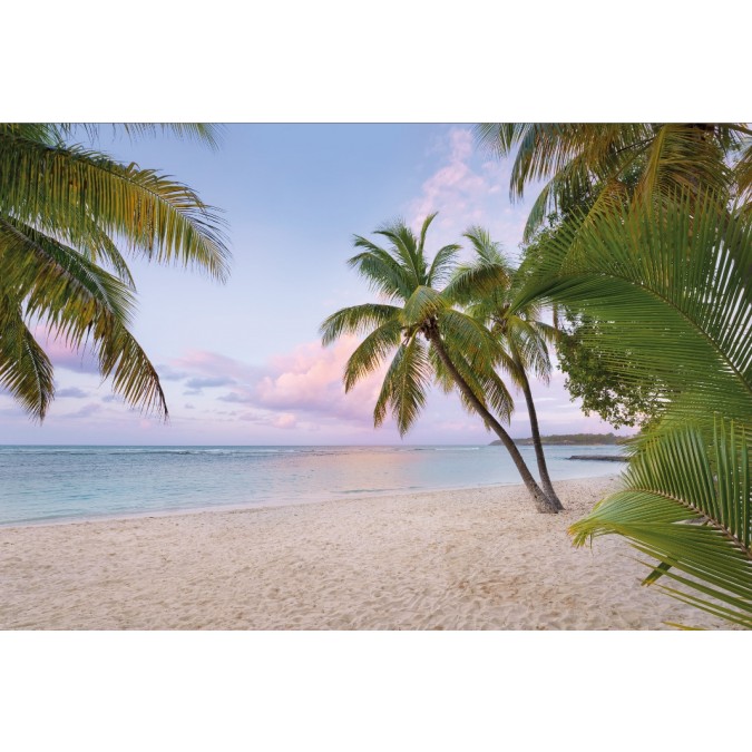 KOMR 825-4 XXL Vliesová fototapeta Komar Paradise Morning, velikost 368x248 cm