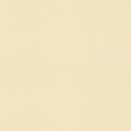 Versace 383843 vliesová tapeta na zeď, rozměry 10.05 x 0.70 m