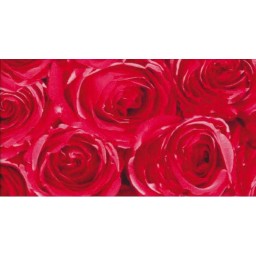 12679 Samolepící fólie renovační Gekkofix - Růže, šíře 45 cm