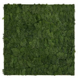 136678 Akustický stěnový mechový panel, 52x52x4 cm, skutečný mech