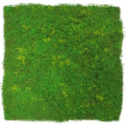 136685 Akustický panel s umělými rostlinami a motivem mechu 52x52x3,2 cm