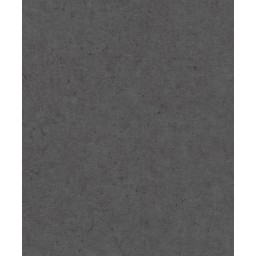 520927 Rasch vliesová omyvatelná tapeta na zeď Concrete 2024, velikost 10,05 m x 53 cm