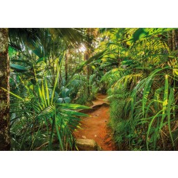 KOMR 989-8 Komar obrazová otiratelná fototapeta Komar Jungle Trail, velikost 368x254 cm