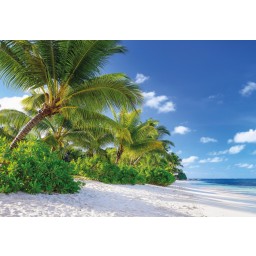 KOMR 299-8 Komar obrazová fototapeta palmy a moře Reunion, velikost 368 cm x 254 cm