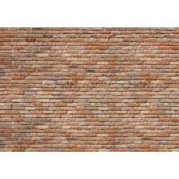 KOMR 147-8 Backstein - Fototapeta Komar imitace cihlová zeď, velikost 368 x 254 cm
