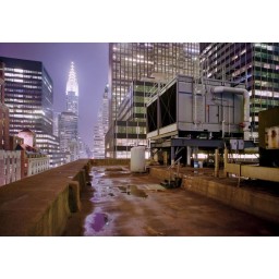 KOMR 237-8 On Top - Fototapeta Komar střeba mrakodrapu, velikost 368 x 254 cm