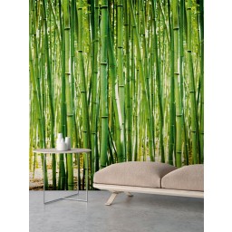 A36901 Grandeco vliesová fototapeta na zeď bambus z kolekce One roll one motif, velikost 1,59 m x 2,8 m