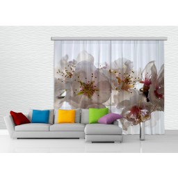 FCP XXL 6409 AG Design textilní foto závěs dělený obrazový Flowers - Květiny FCPXXL 6409, velikost 280 x 245 cm