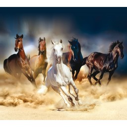 FCS XL 4824 AG Design textilní foto závěs dělený obrazový Horses - Koně FCSXL 4824, velikost 180 x 160 cm