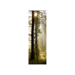 FTNVL 3712 AG Design vliesová fototapeta 1-dílná Morning Forest, velikost 90  x 270 cm