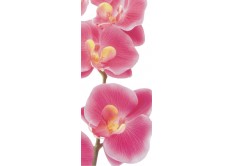FTN V 2826 Vliesová fototapeta dveřní Pink orchid, velikost 90 x 202 cm