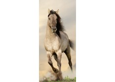 FTN V 2928 Vliesová fototapeta dveřní Galloping horse - koně, velikost 90 x 202 cm