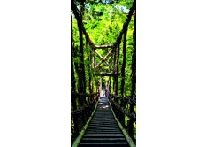 FTN V 2937 Vliesová fototapeta dveřní Forest bridge, velikost 90 x 202 cm