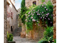 FTN XXL 1145 AG Design vliesová fototapeta 4-dílná - Patio, velikost 360 x 270 cm