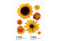 F 0408 AG Design Samolepicí dekorace - samolepka na zeď - Sunflower big, velikost 65 cm x 85 cm