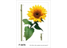 F 0476 AG Design Samolepicí dekorace - samolepka na zeď - Sunflower, velikost 65 cm x 85 cm