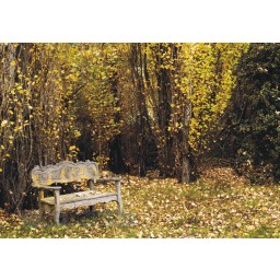 Obrazová fototapeta na zeď čtyřdílná FT 0324 Lavička a stromy na podzim