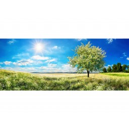 MP-2-0096 Vliesová obrazová panoramatická fototapeta Blossom Tree + lepidlo Zdarma, velikost 375 x 150 cm