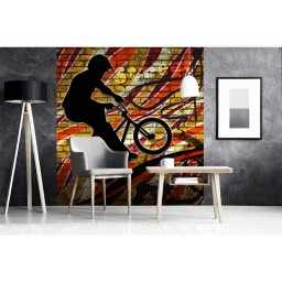 MS-3-0327 Vliesová obrazová fototapeta Bicycle Red, velikost 225 x 250 cm