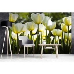 MS-5-0127 Vliesová obrazová fototapeta White Tulips, velikost 375 x 250 cm