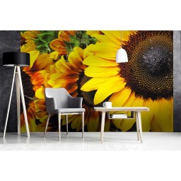 MS-5-0130 Vliesová obrazová fototapeta Sunflowers, velikost 375 x 250 cm