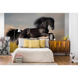 MS-5-0228 Vliesová obrazová fototapeta Horse, velikost 375 x 250 cm