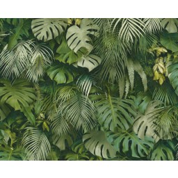 P492440071 A.S. Création vliesová tapeta na zeď Styleguide Jung 2024 palmové listy, velikost 10,05 m x 53 cm