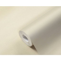 p492470103 A.S. Création vliesová tapeta na zeď Styleguide Colours 2024 jednobarevná, velikost 10,05 m x 53 cm