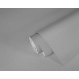 p492470134 A.S. Création vliesová tapeta na zeď Styleguide Colours 2024 jednobarevná, velikost 10,05 m x 53 cm