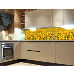 KI-180-030 Fototapeta do kuchyně - Sunflowers - za kuchyňskou linku, velikost 180x60 cm