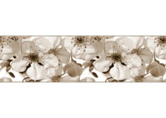 WB 8216 AG Design Samolepicí bordura na zeď Apple blossom, velikost 14 cm x 5 m