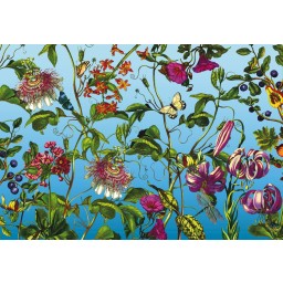 KOMR 920-4 XXL Vliesová fototapeta Komar - Jardin - květy mučenka, velikost 368x248 cm